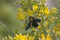 Cjp_2008_05_21_154650 (1).jpg